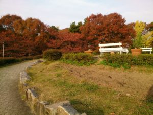 名城公園の紅葉